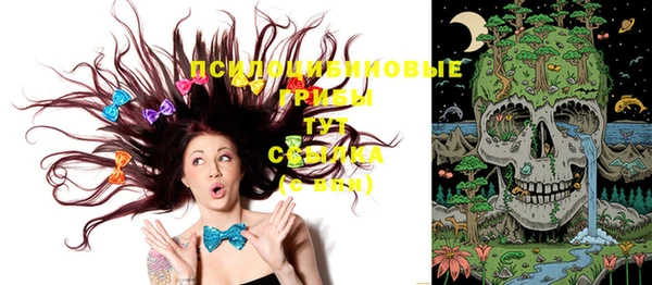 не бодяженный Аркадак