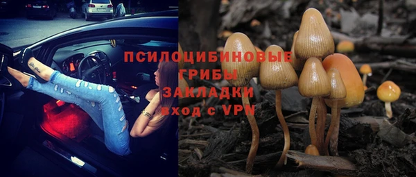 ALPHA PVP Армянск