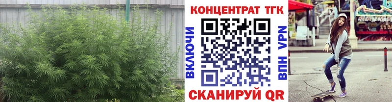 MEGA как зайти  Багратионовск  Дистиллят ТГК концентрат 