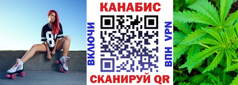 Шишки марихуана конопля Багратионовск